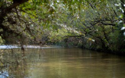 Ojeras en Córdoba: Cómo la Tecnología Lumínica Transforma la Mirada