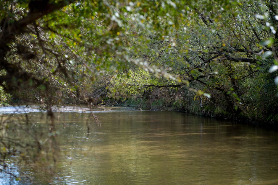 eliminación de ojeras Córdoba